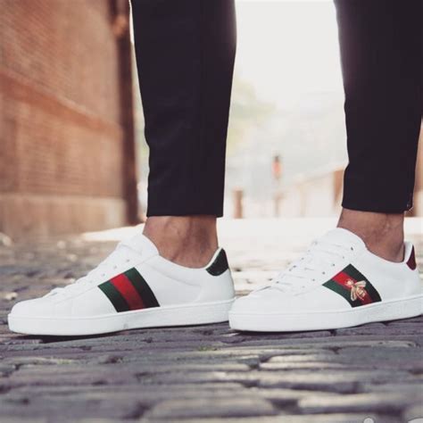 gucci ace ph